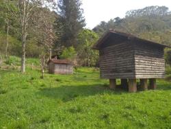 #CH0996 - Chácara para Venda em Cunha - SP - 3