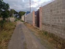#CH1000 - Chácara para Venda em Pindamonhangaba - SP - 1