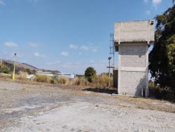 #TE0088_PAL - Terreno para Venda em Roseira - SP - 3