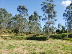 Terreno para Venda em Tremembé - 3