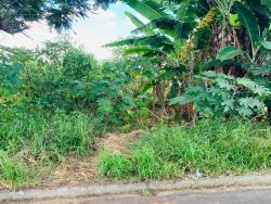 Terreno para Venda em Pindamonhangaba - 3