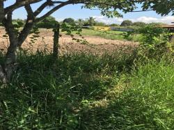 Terreno para Venda em Roseira - 5