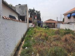 #TE0306_PAL - Terreno para Venda em Potim - SP - 1