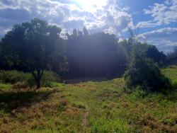 Terreno para Venda em Taubaté - 2