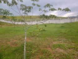 #TE0951_PAL - Terreno em condomínio para Venda em Tremembé - SP - 2