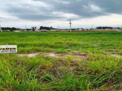 Terreno para Venda em Pindamonhangaba - 5