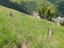 #TE1646_PAL - Terreno para Venda em Aparecida - SP - 1