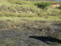 #TE1922_PAL - Terreno para Venda em Aparecida - SP - 2