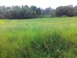 Terreno para Venda em Pindamonhangaba - 2