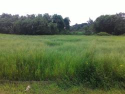 Terreno para Venda em Pindamonhangaba - 5