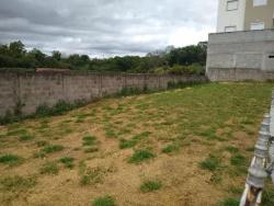 Terreno para Venda em Taubaté - 4