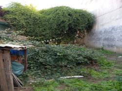 #TE3147_PAI - Terreno para Venda em Potim - SP - 1