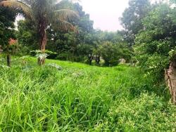 Terreno para Venda em Pindamonhangaba - 3