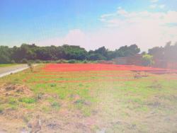 #TE3238_PAI - Terreno para Venda em Pindamonhangaba - SP - 1