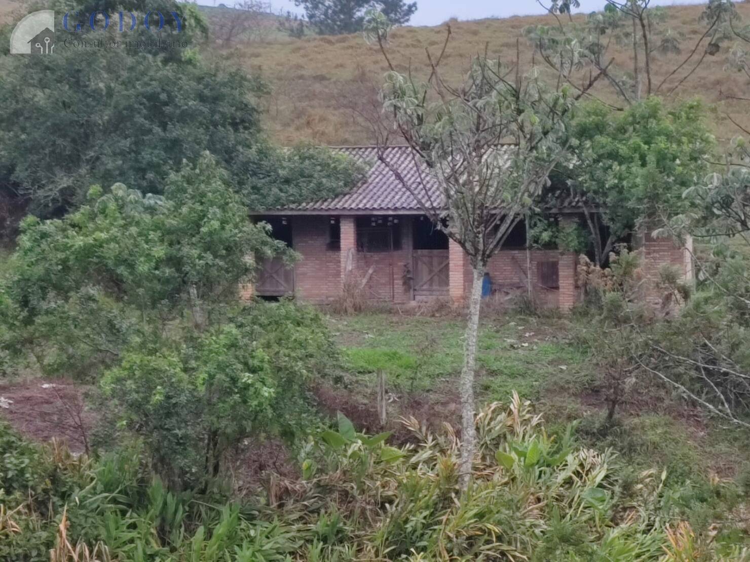 Sítio, 5 quartos, 2 hectares - Foto 11