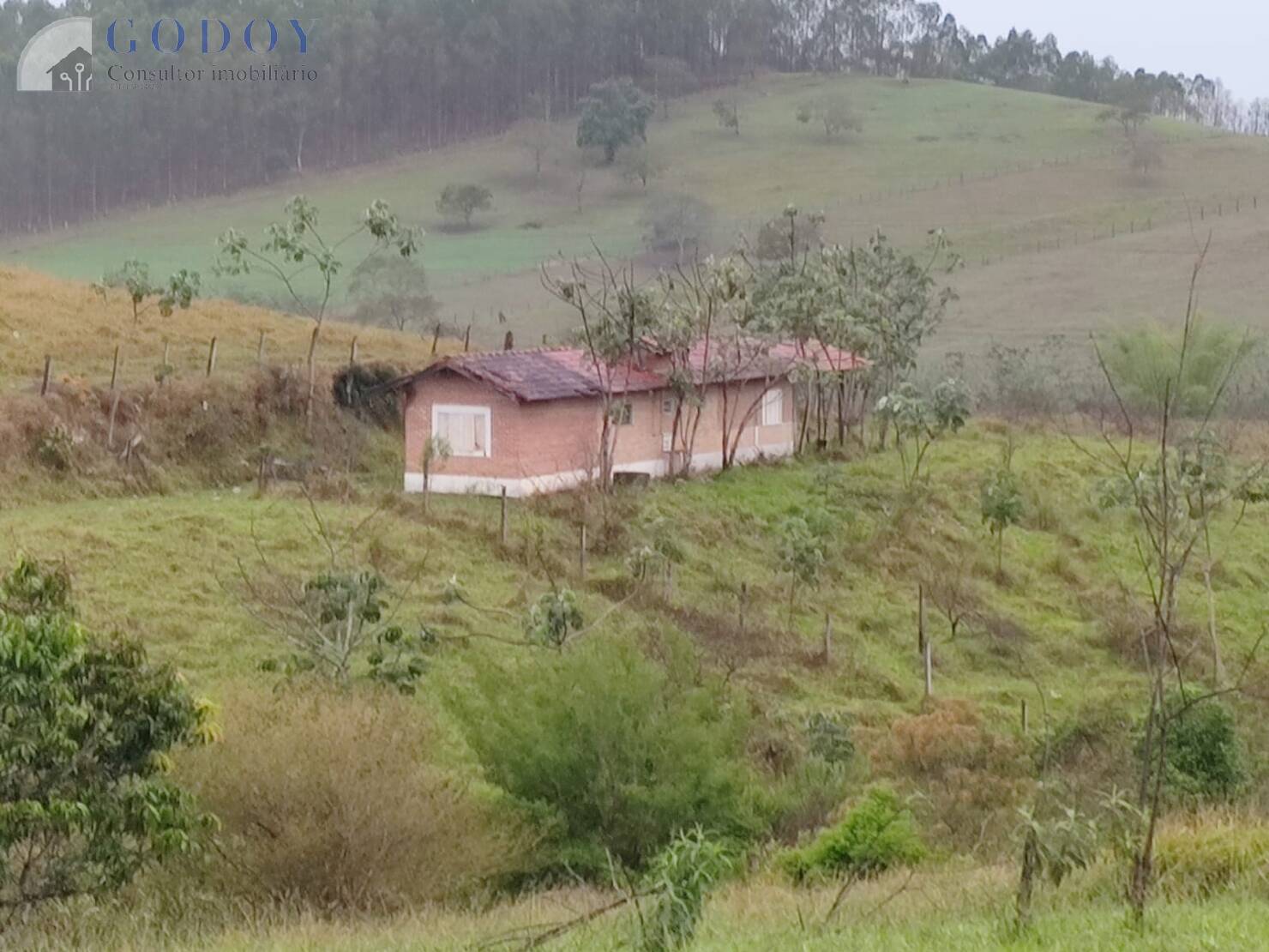 Sítio, 5 quartos, 2 hectares - Foto 15