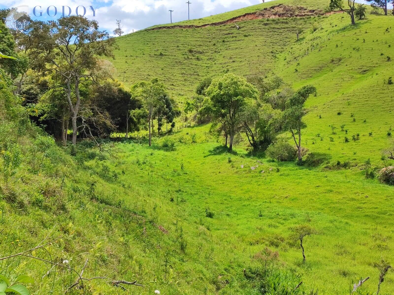 Terreno, 5 hectares - Foto 4