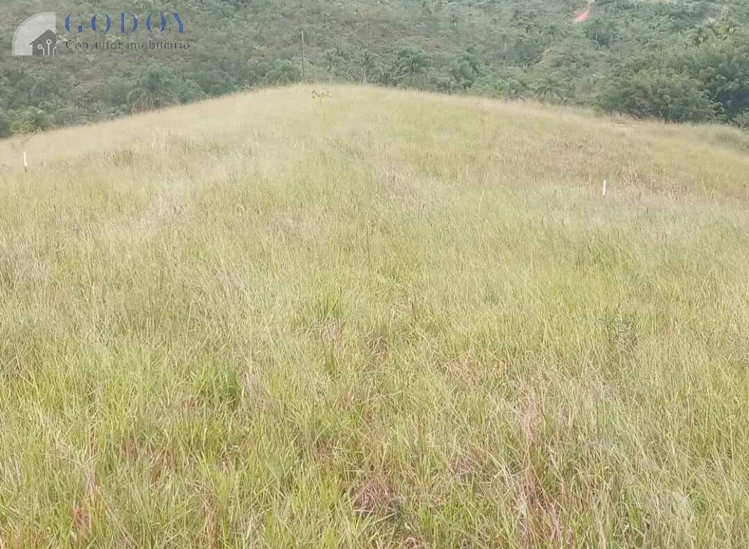 Terreno, 2 hectares - Foto 2