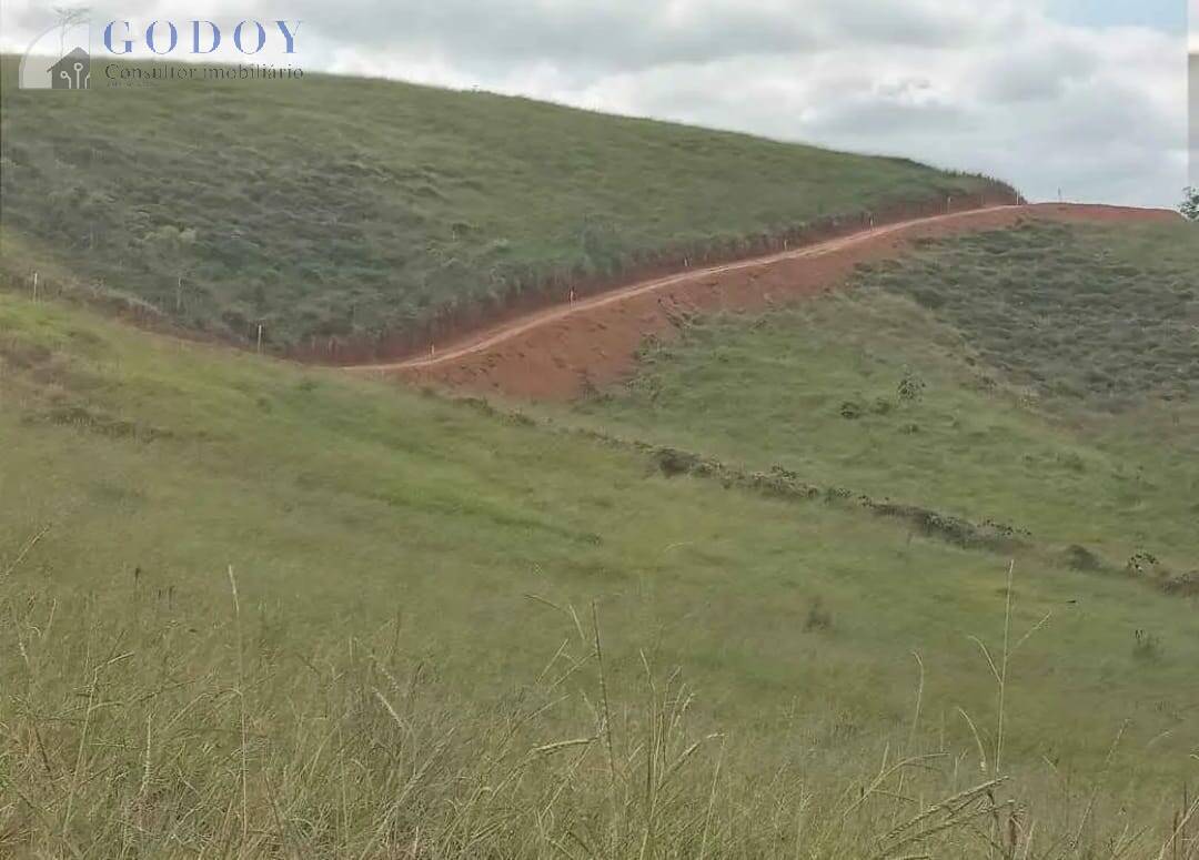 Terreno, 2 hectares - Foto 3