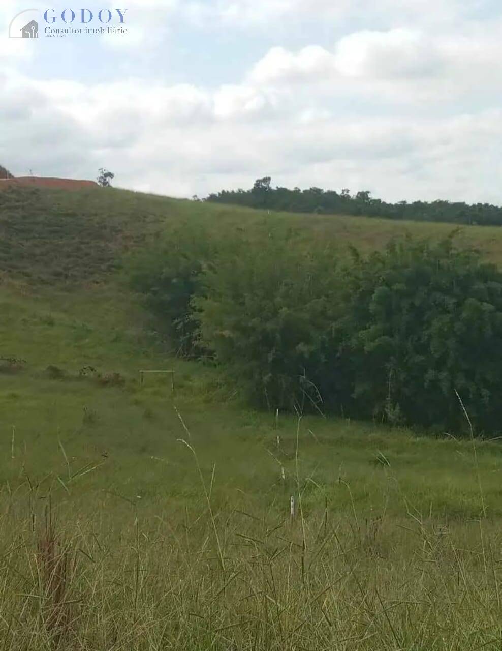 Terreno, 2 hectares - Foto 4