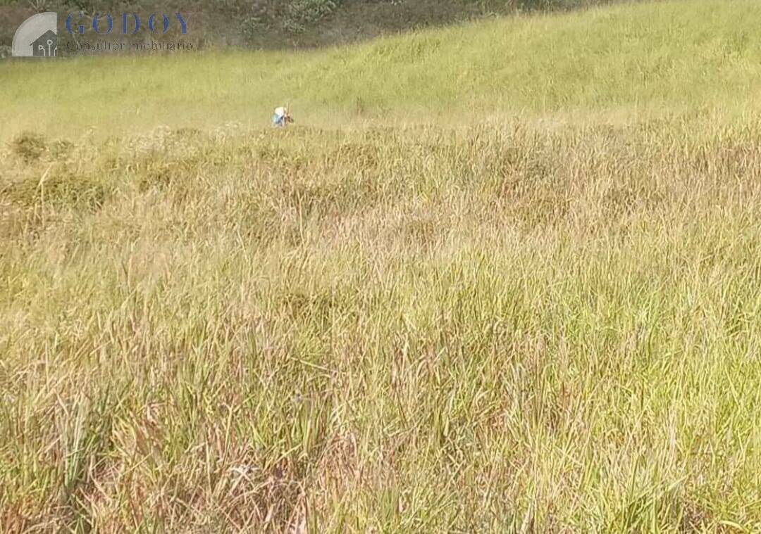 Terreno, 2 hectares - Foto 8