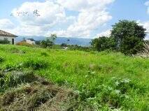 Terreno, 10000 m² - Foto 3