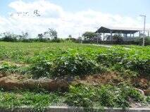 Terreno, 2300 m² - Foto 2