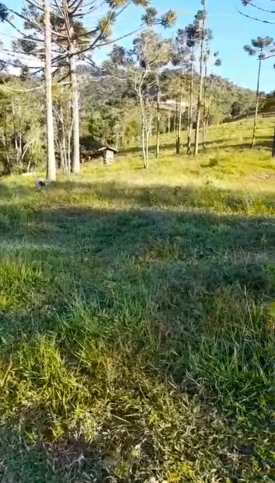 Terreno, 16 m² - Foto 2