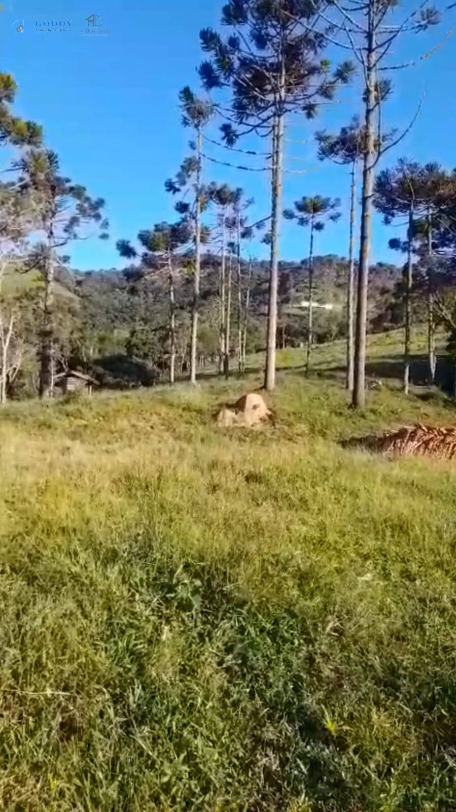 Terreno, 16 m² - Foto 1