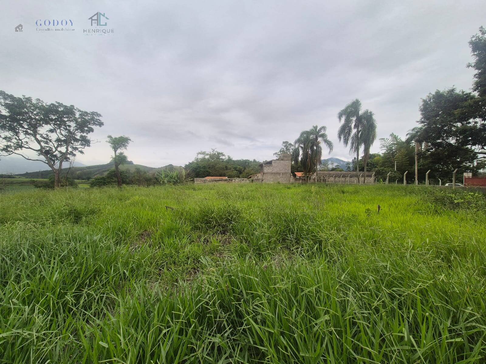 Terreno, 5242 m² - Foto 6