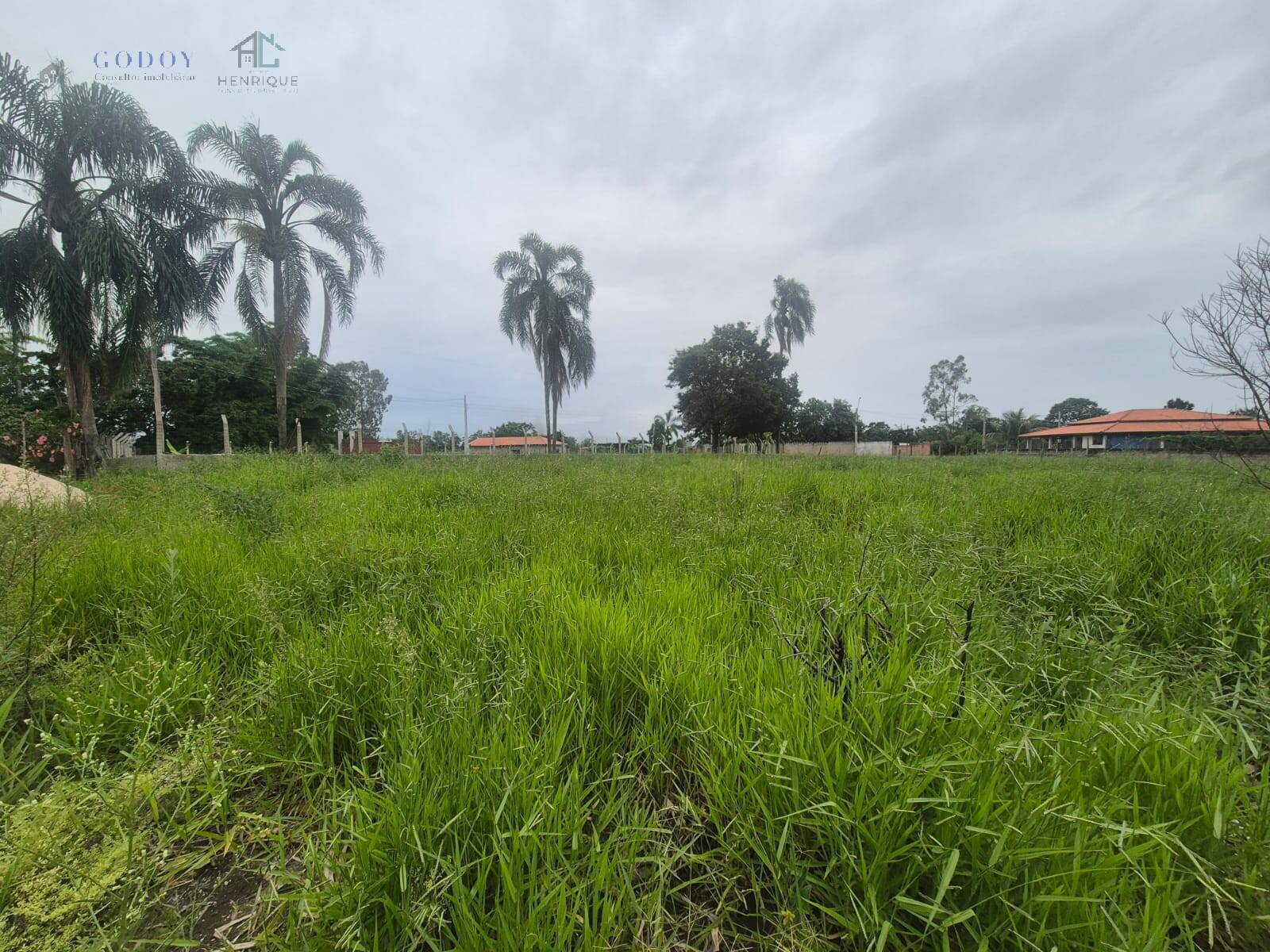 Terreno, 5242 m² - Foto 7