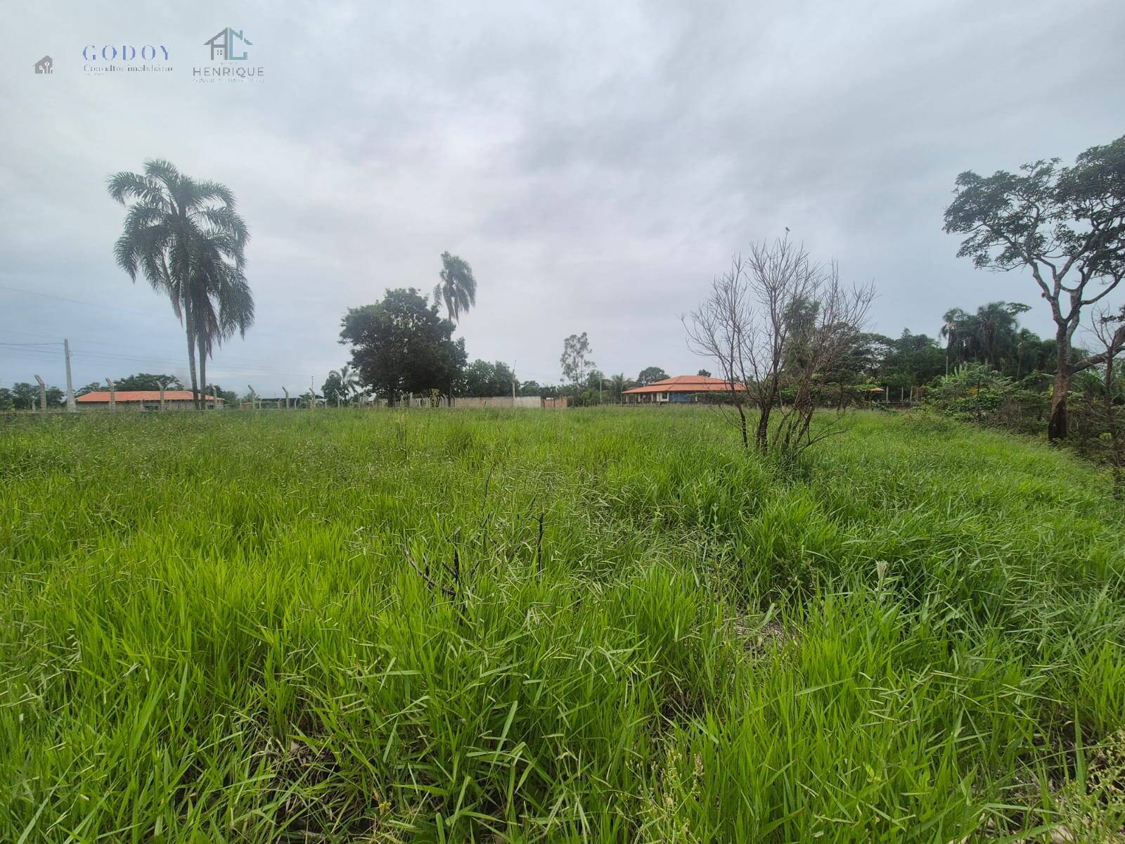 Terreno, 5242 m² - Foto 8