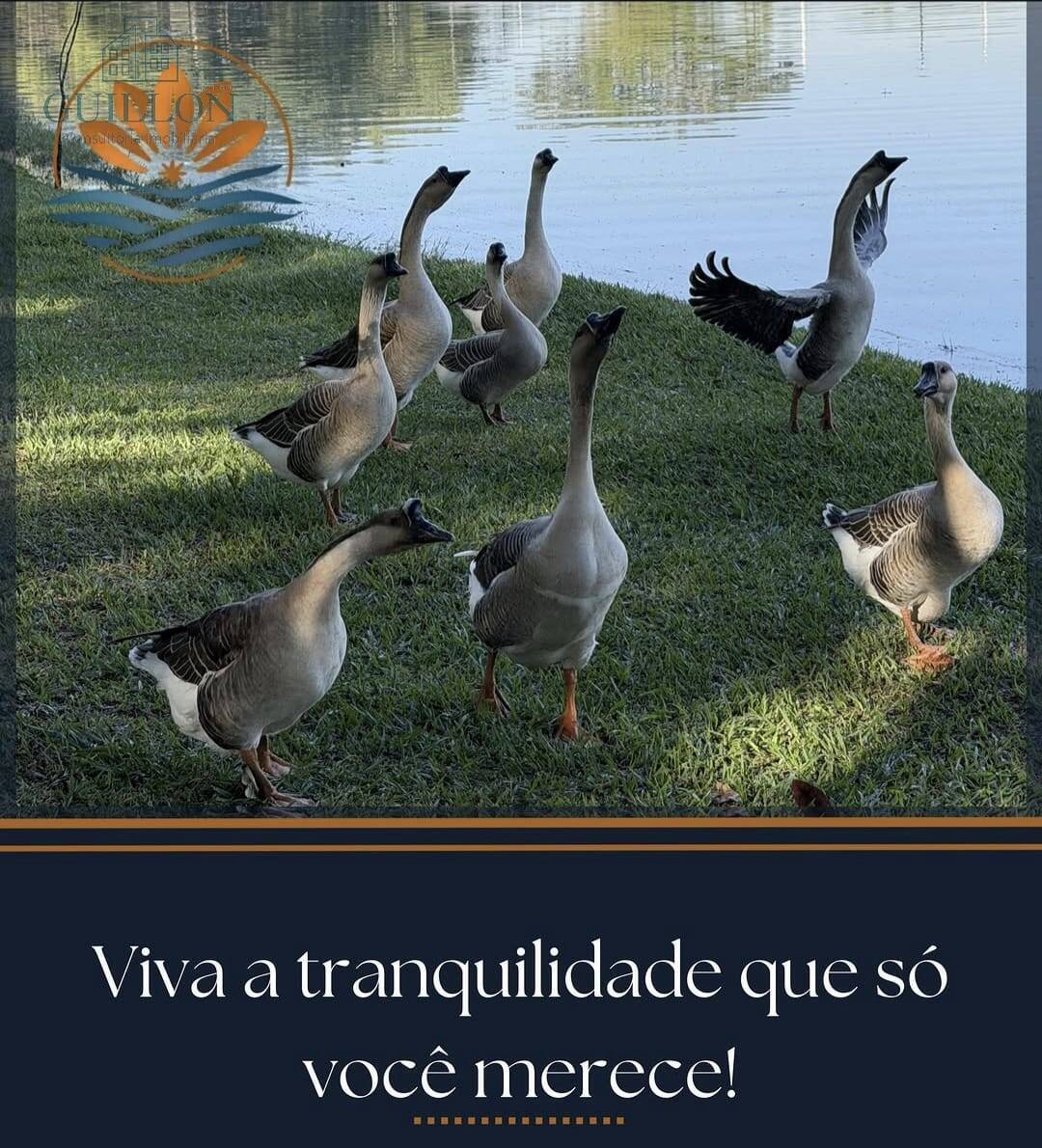 Casa de Condomínio, 4 quartos - Foto 49